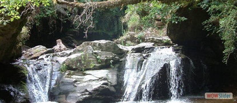 cimg0049.sized_11