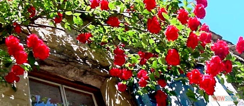 fr15_12_1
